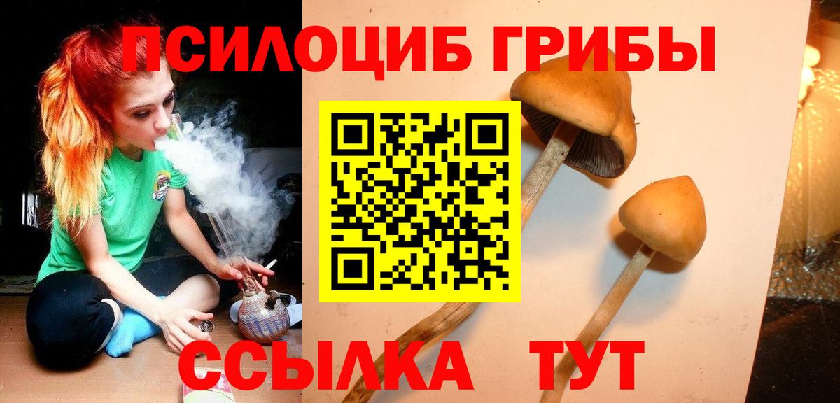 Белогорск  Псилоцибиновые грибы Cubensis  Псилоцибиновые грибы MAGIC MUSHROOMS  Вход с VPN 